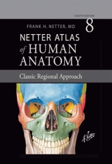 اطلس آناتومی نتر 2023 همراه با Appendix انتهای کتاب| Netter Atlas of Human Anatomy