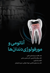 آناتومی و مورفولوژی دندان ها استنلی ج نلسون