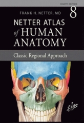 اطلس آناتومی نتر ویرایش هشتم 2023 وزیری با کاغذ گلاسه | Atlas of Human Anatomy Netter