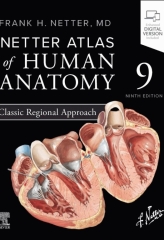 اطلس آناتومی نتر ویرایش نهم 2026 | Atlas of Human Anatomy Netter