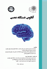آناتومی دستگاه عصبی