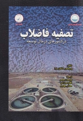 تصفیه فاضلاب در کشورهای در حال توسعه