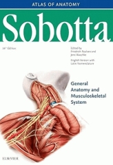 اطلس آناتومی زوبوتا 2018 جلد اول: آناتومی عمومی و اندام های فوقانی و تحتانی | Atlas of Human Anatomy Sobotta