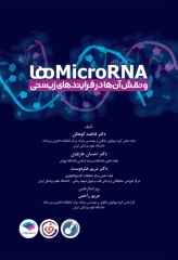 MicroRNA‌ها و نقش آن‌ها در فرآیندهای زیستی