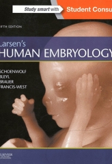 جنین شناسی انسانی لارسن 2015 | Larsen's Human Embryology
