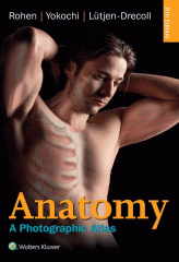اطلس آناتومی تمام رنگی روهن ویراست هشتم  Rohen Atlas Of Anatomy 2015